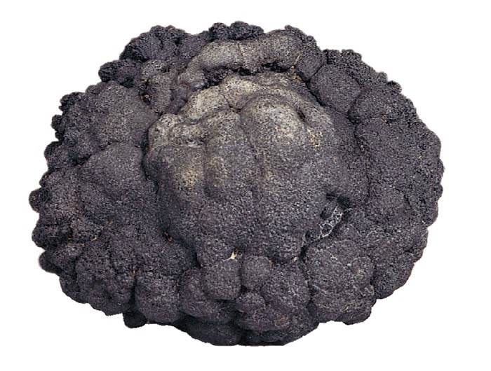 New underwater mining technology pulls up more ore The